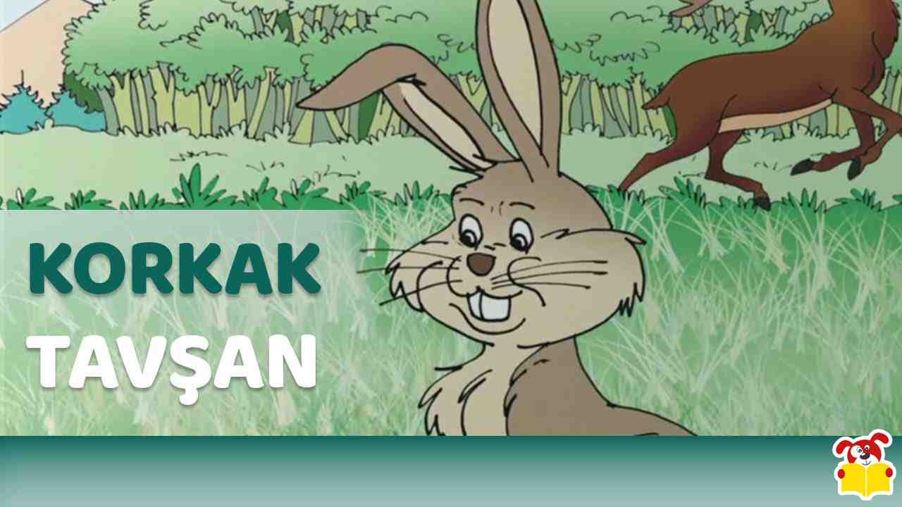 Tavşandan Kim Korkar?