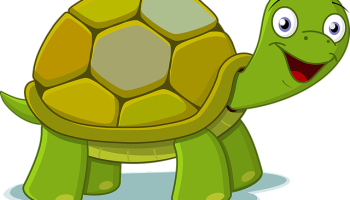 Kaplumbağa Teri Masalı
