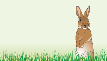 Kısa Kulaklı Tavşancık Hikâyesi