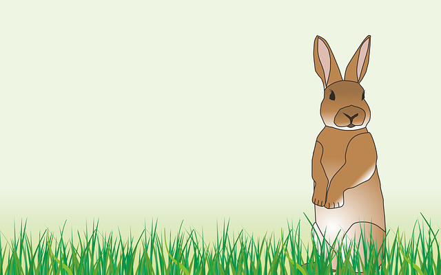 Kısa Kulaklı Tavşancık Hikâyesi